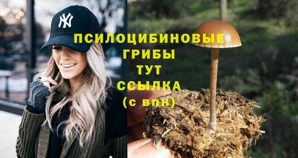 метадон Алексеевка